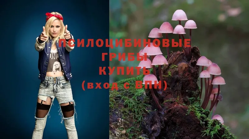 Галлюциногенные грибы Cubensis Нижний Ломов